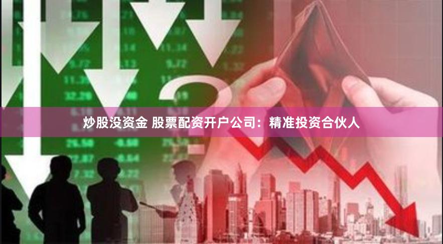 炒股没资金 股票配资开户公司：精准投资合伙人